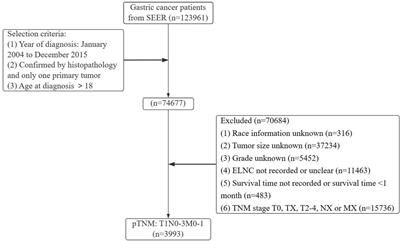 Analysis of risk factors for lymph node metastasis and prognosis study in patients with early gastric cancer: A SEER data-based study